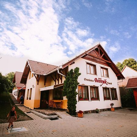 Bed and Breakfast Bosnyak Panzio Одорхею-Секуйеск Экстерьер фото