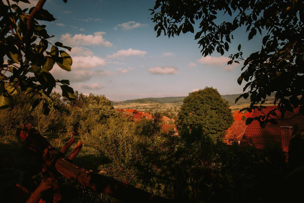 Bed and Breakfast Bosnyak Panzio Одорхею-Секуйеск Экстерьер фото